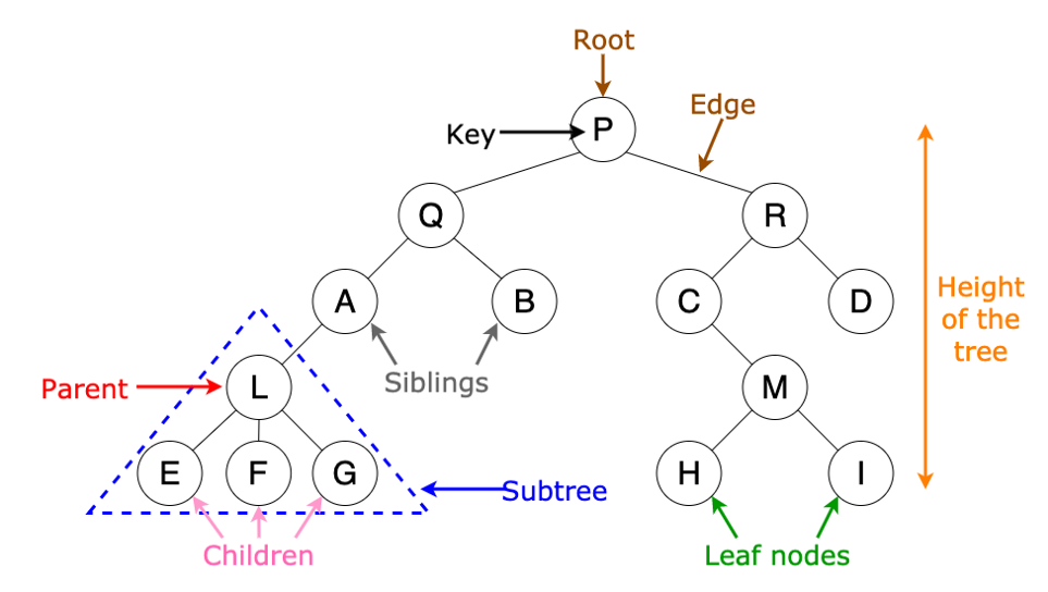 Terminology-of-tree